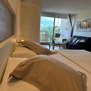 Reves De Tropiques - Grands Avec Piscine Vue Ocean Acces Direct Apartment
